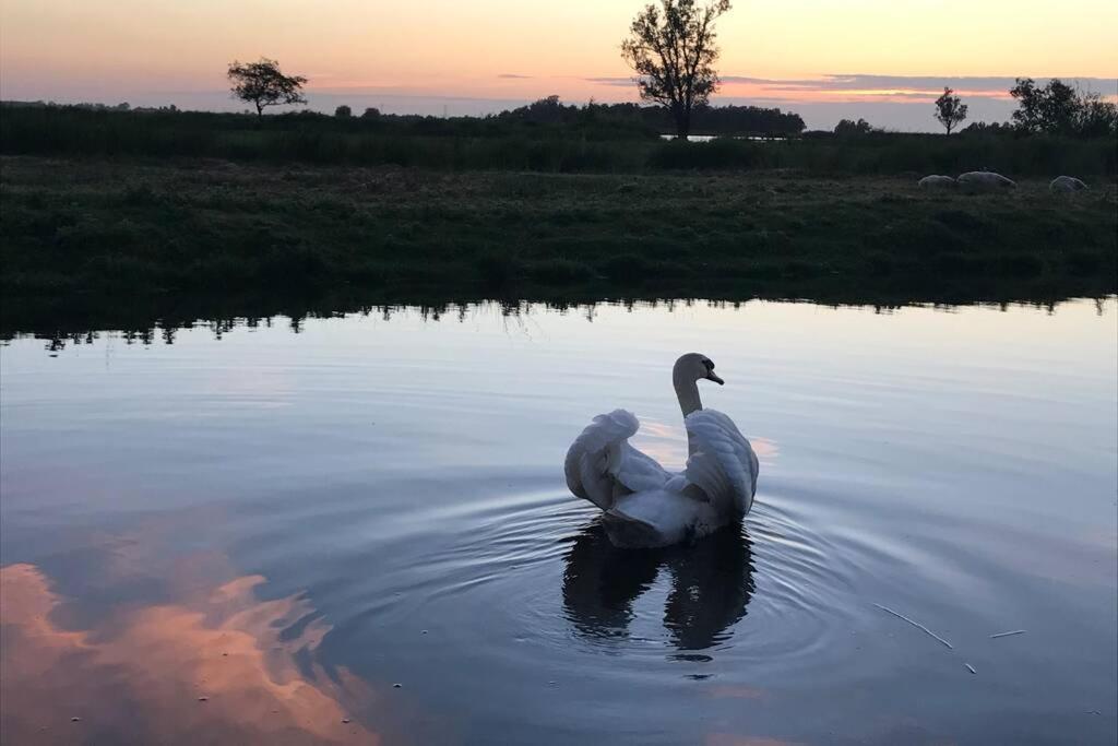Romantic Dutch Hideaway Jisp Exteriér fotografie