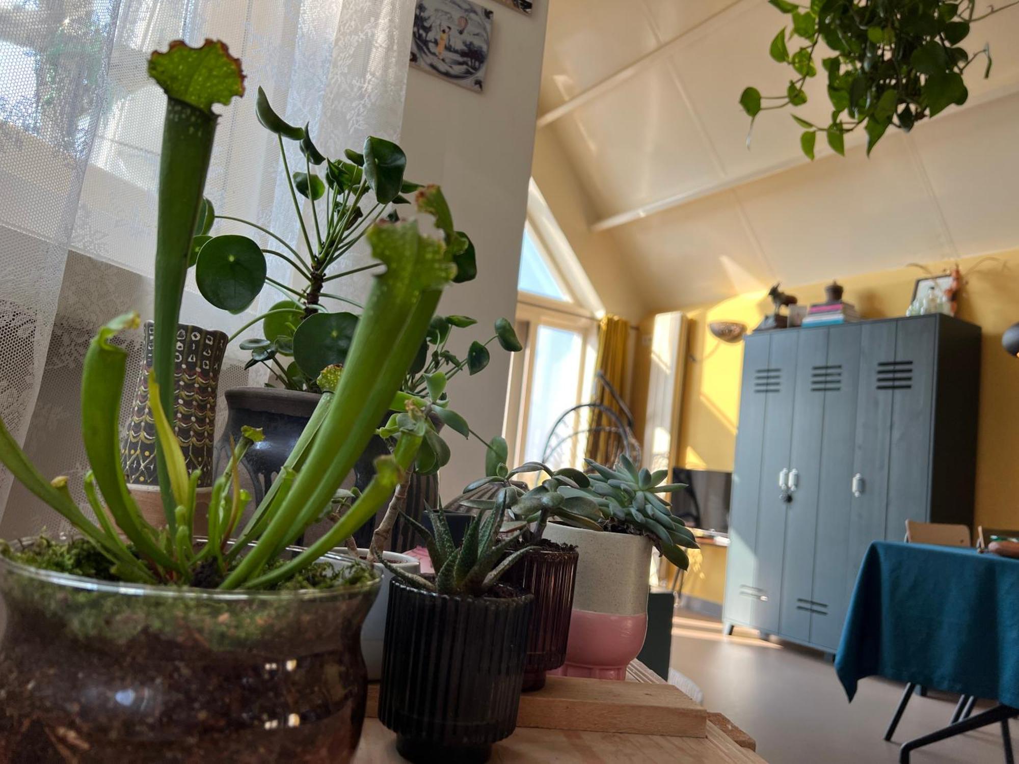 Romantic Dutch Hideaway Jisp Exteriér fotografie